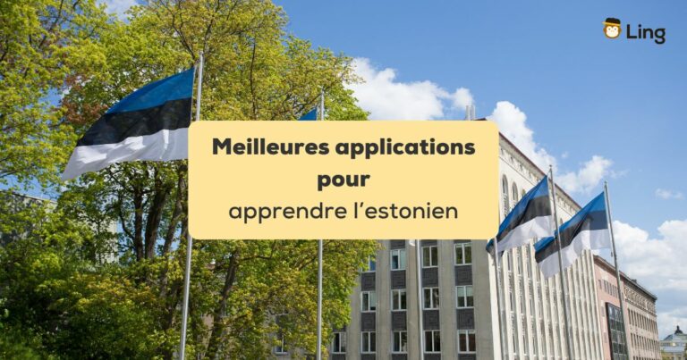 Applications Pour Apprendre L'Estonien Drapeaux Estoniens Devant Un Bâtiment
