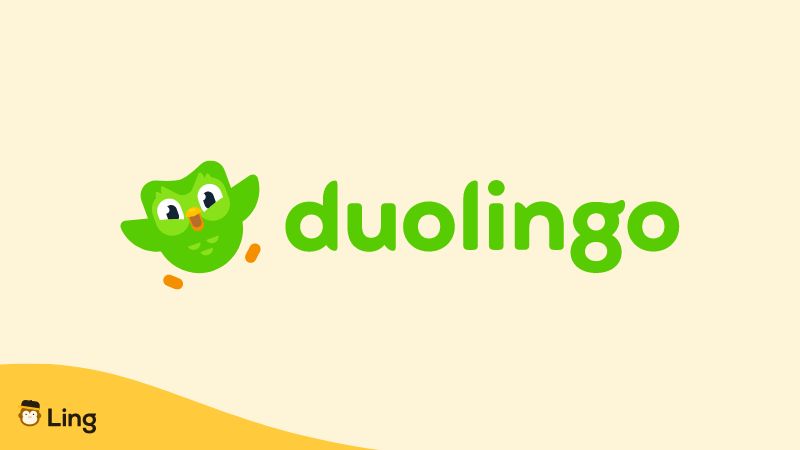 applications pour apprendre le vietnamien
Application Duolingo