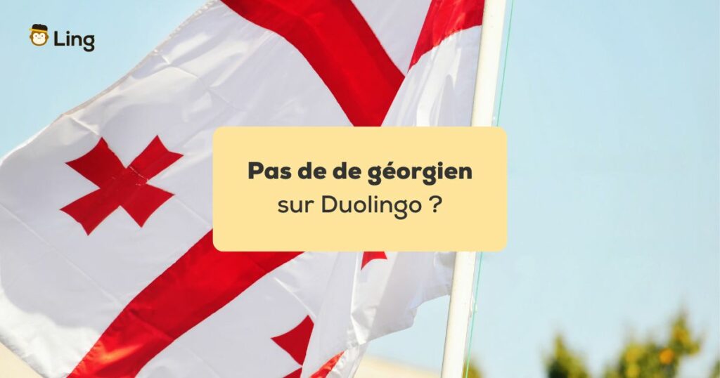 Pas de géorgien sur Duolingo Drapeau de la Géorgie flottant devant un ciel bleu