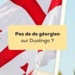 Pas de géorgien sur Duolingo Drapeau de la Géorgie flottant devant un ciel bleu