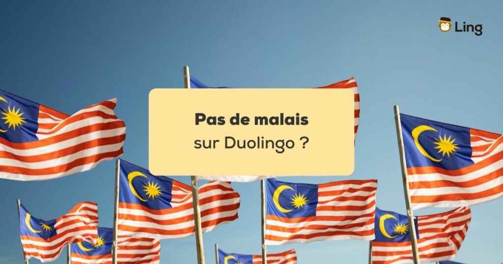 Pas de malais sur Duolingo Drapeaux de la Malaisie devant un ciel bleu