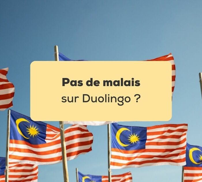 Pas de malais sur Duolingo Drapeaux de la Malaisie devant un ciel bleu
