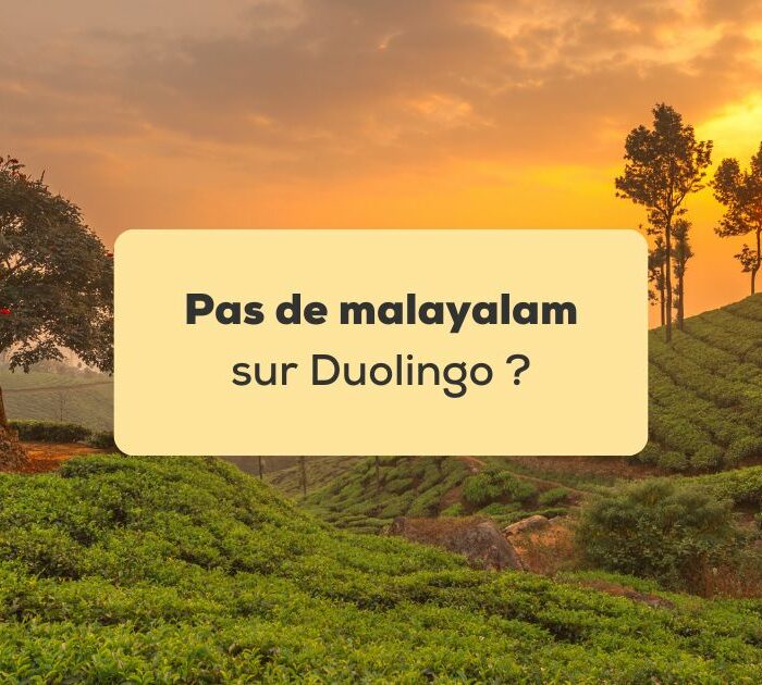 Pas de malayalam sur Duolingo Plantation de thé a Munnar dans le Kerala en Inde