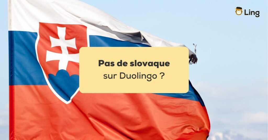 pas de slovaque sur Duolingo Drapeau de la Slovaquie devant un ciel bleu