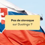 pas de slovaque sur Duolingo Drapeau de la Slovaquie devant un ciel bleu