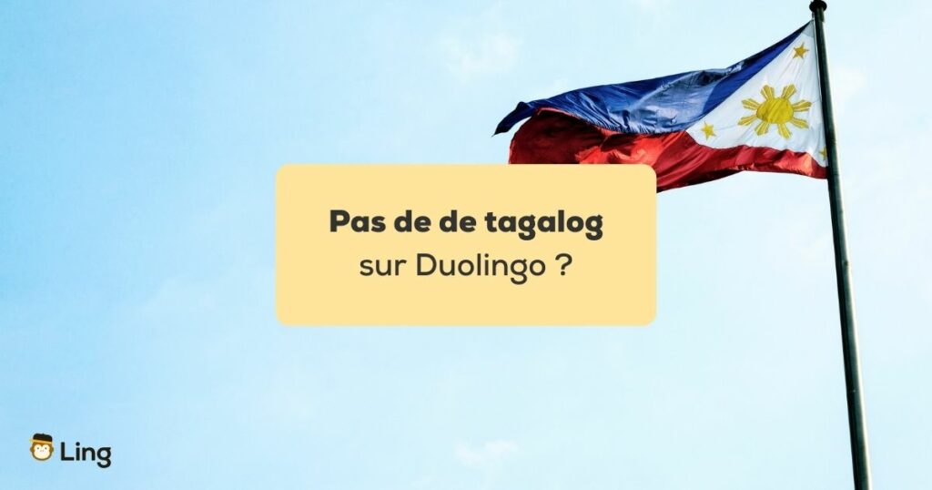Pas de tagalog sur Duolingo Drapeau des Philippines devant un ciel bleu
