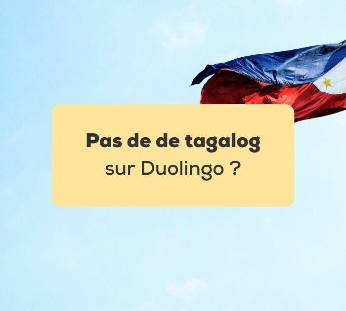 Pas de tagalog sur Duolingo Drapeau des Philippines devant un ciel bleu
