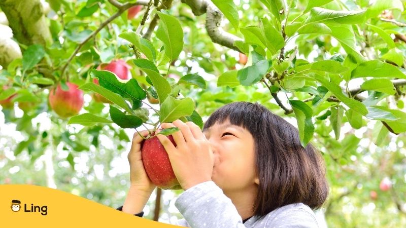 Picking Japanese Fruits - Japanese food ingredients Ling app
