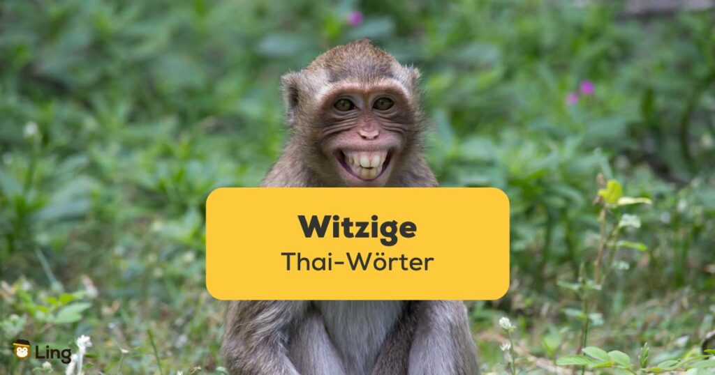 Affe der aussieht, als ob er lache. Entdecke über 8 witzige Thai Wörter und ihre Bedeutung mit der Ling-App!