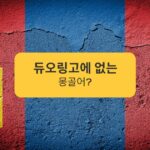 몽골어 듀오링고? 2개의 대안을 확인하세요 Mongolian Duolingo?Check out these 2 alternatives