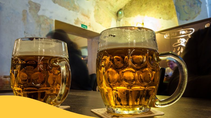 Czech Duolingo Czech Pilsner Beer 체코어 듀오링고 체코 필스너 맥주
