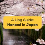 #1 Best Guide Hanami In Japan