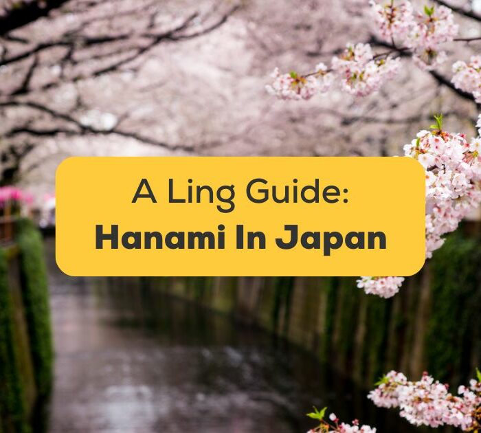 #1 Best Guide Hanami In Japan