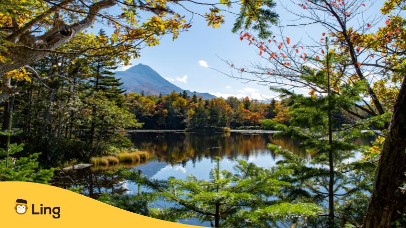 Shiretoko National Park-Things To Do In Hokkaido-Ling