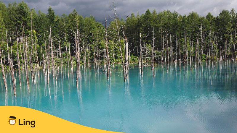 BLue Pond-Things To Do In Hokkaido-Ling