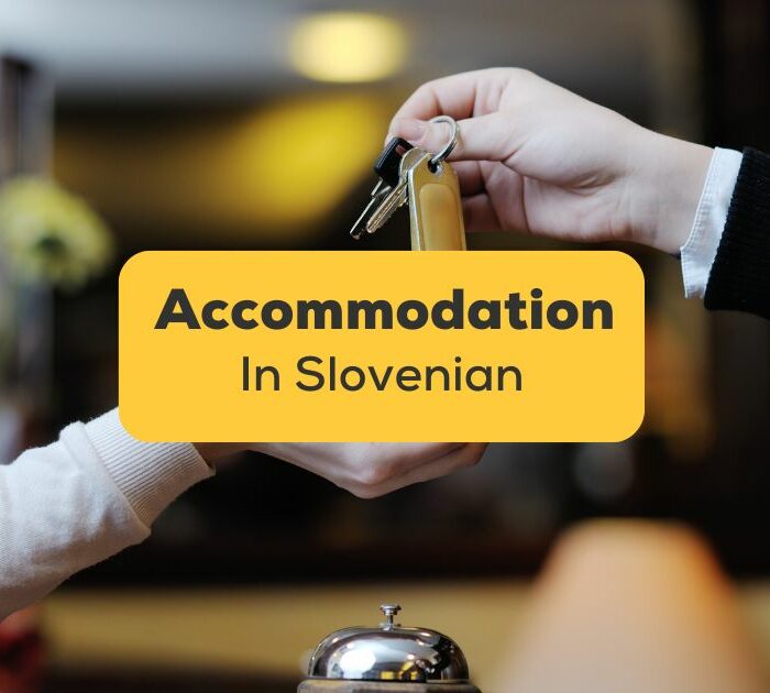 Accommodation In Slovenian