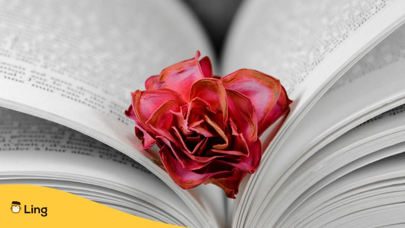 Pink flower between book pages