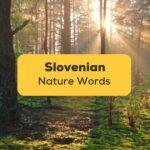 Slovenian Nature Words
