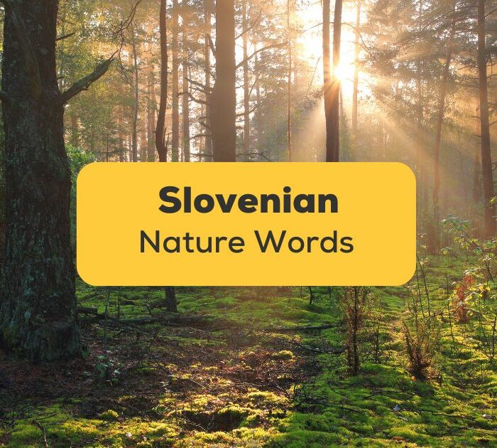 Slovenian Nature Words