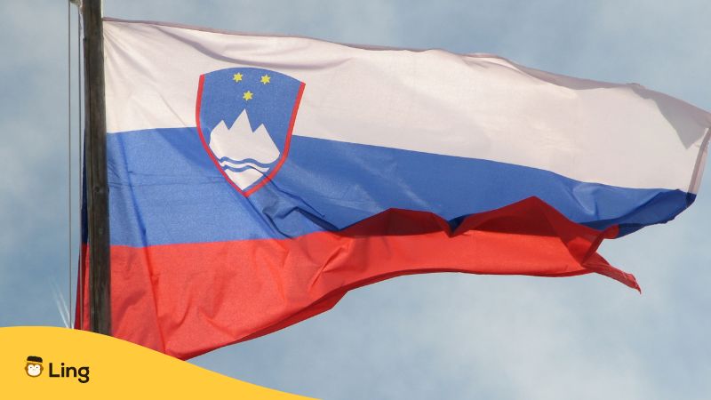 a photo of the slovenian flag 