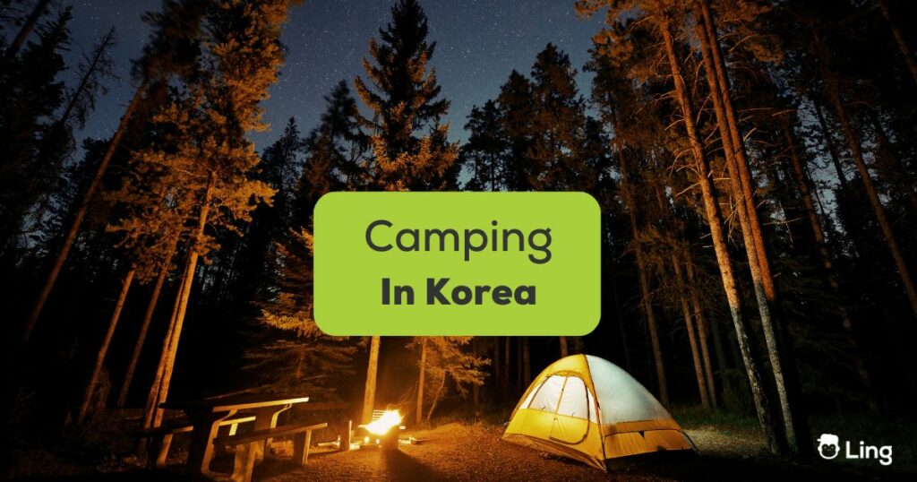 Camping in Korea - A photo of a tent in the woods.