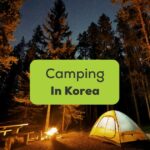 Camping in Korea - A photo of a tent in the woods.
