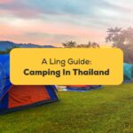 Camping tents on a grass field - Camping in Thailand Ling app