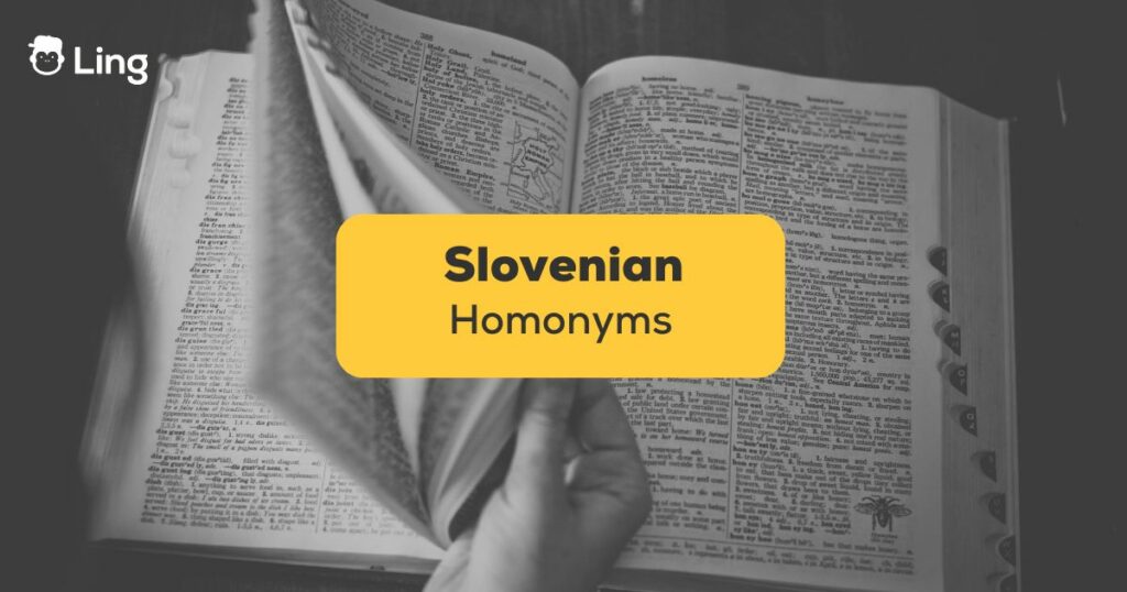 Slovenian Homonyms -ling app