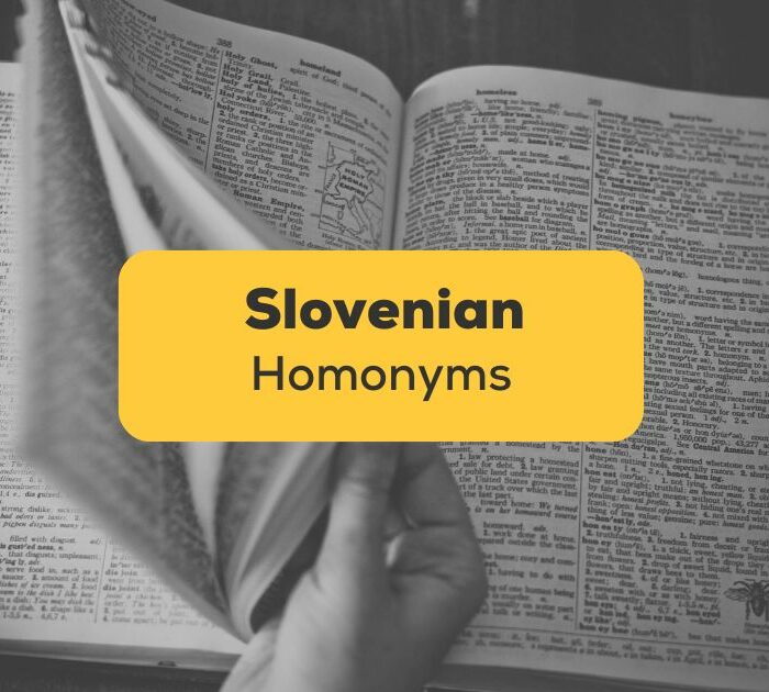 Slovenian Homonyms -ling app