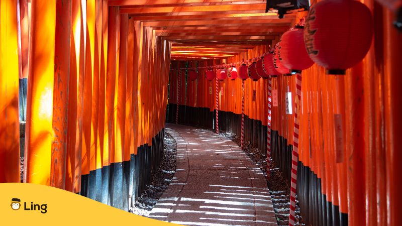 An image of a Japanese torii gate in Kyoto