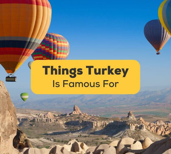 what is turkey famous for-Ling