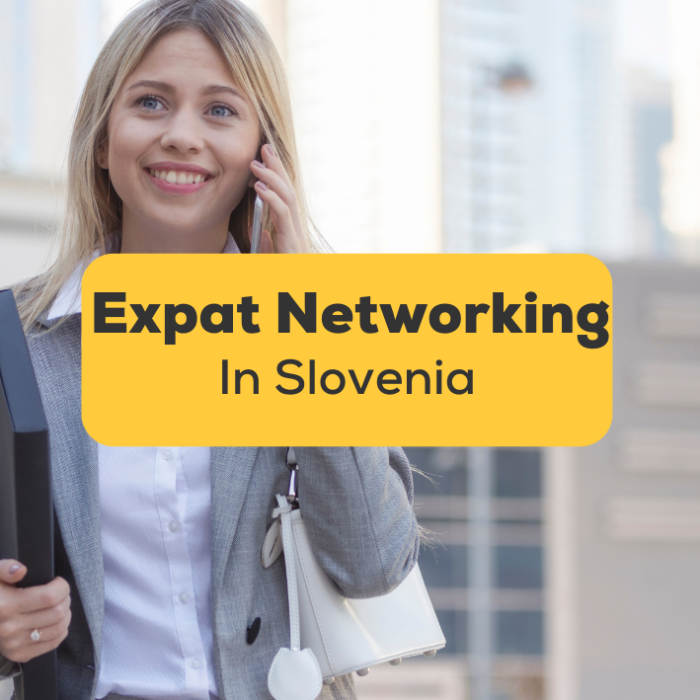 Expat Networking In Slovenia