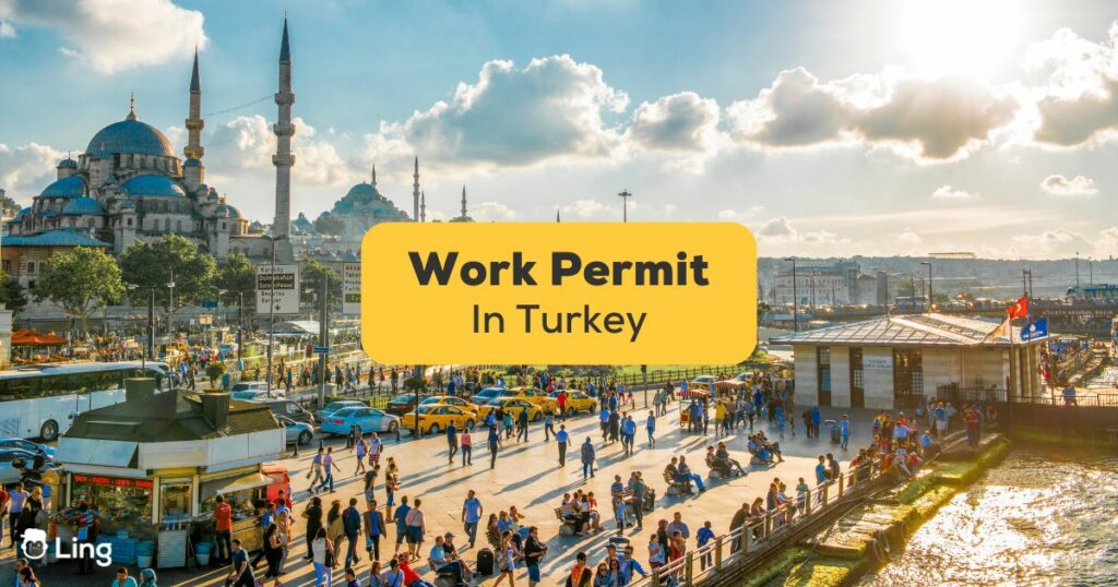 Getting work permit in Turkey-Ling