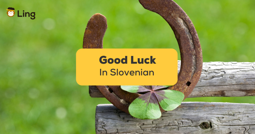 Good Luck in Slovenian