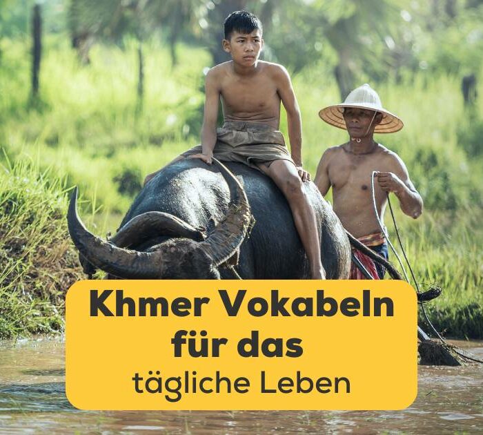 Bauer reitet auf einem Büffel. Lerne 89 einfache Khmer Vokabeln für das tägliche Leben mit der Ling-App!