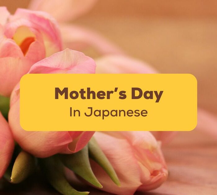 Flowers for Mother's Day in Japanese - Ling app