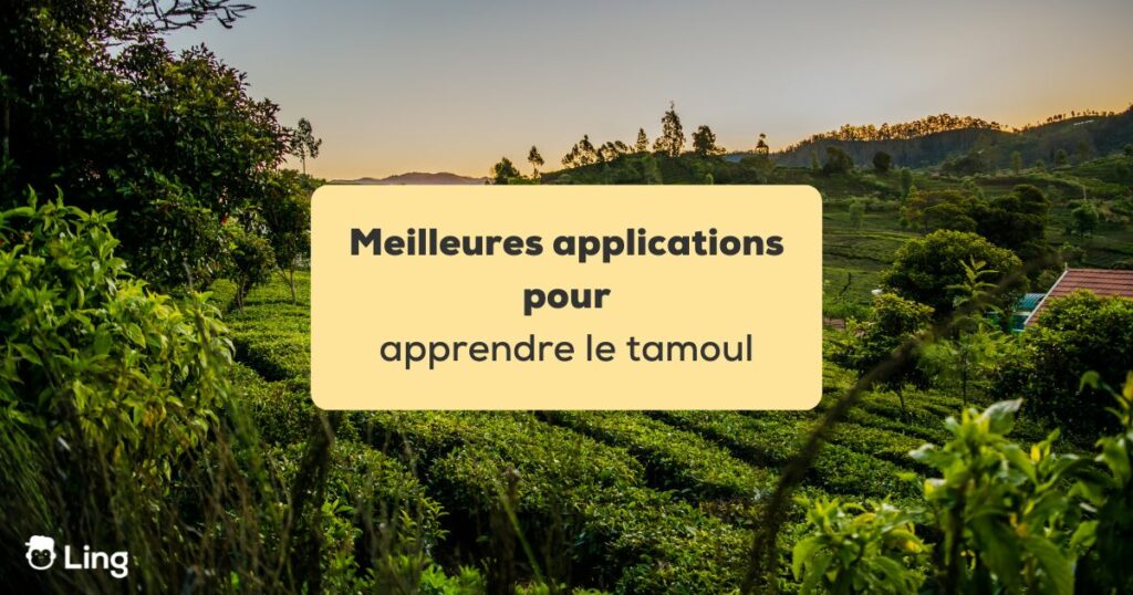 applications pour apprendre le tamoul Plantation de thé dans l'état de Tamil Nadu en Inde