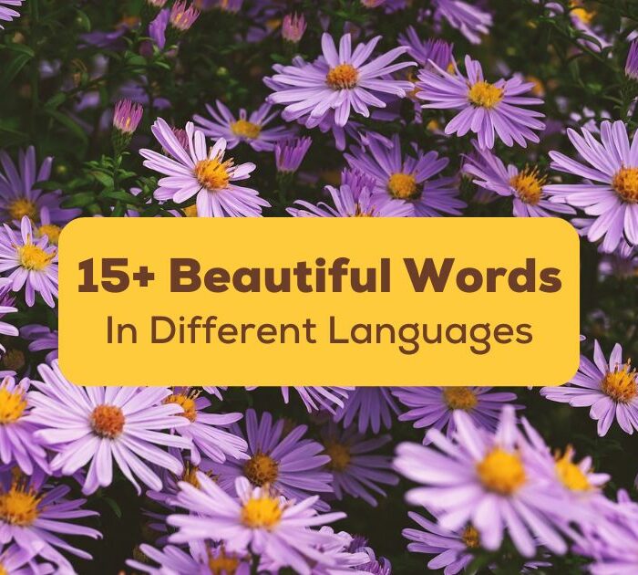 beautiful words in different languages title on purple asters background