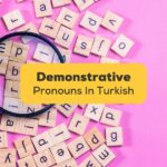 Demonstrative Pronouns In Turkish-Ling