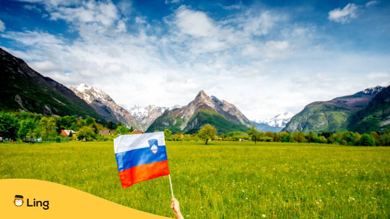 Slovenian flag and landscape