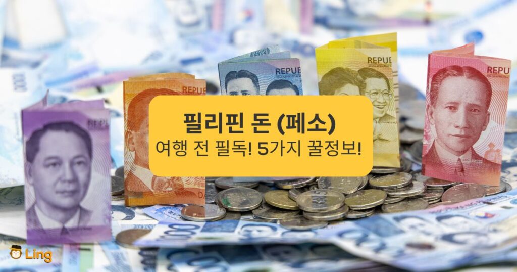 쿠바 페소 기호