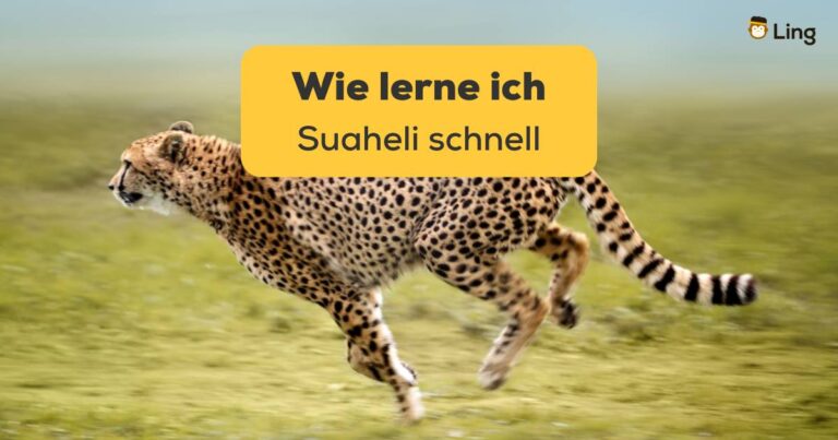 Schnell Rennender Gepard. Erfahre In Diesem Beitrag, Wie Lerne Ich Suaheli Schnell