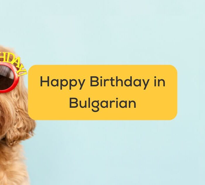 Dog wearing sunglasses that say 'happy birthday' - Happy birthday in Bulgarian