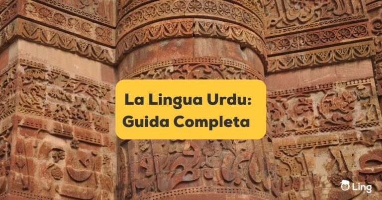 La Lingua Urdu