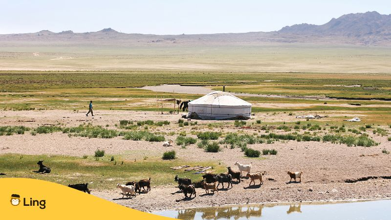 Ling App Image Mongolian Steppe 1