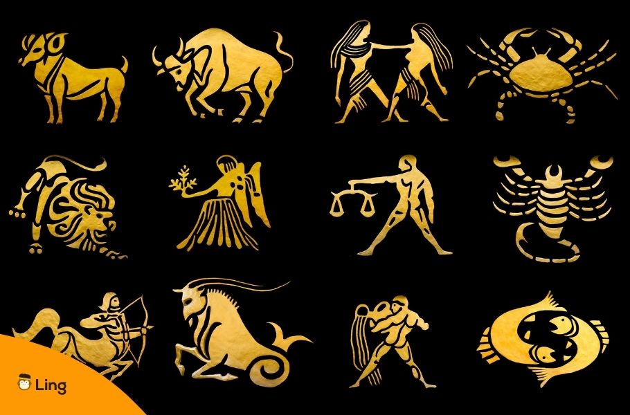 12 Zodiac Signs