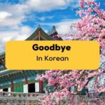 Saying Goodbye In Korean: 10+ Key Phrases You Need To Know