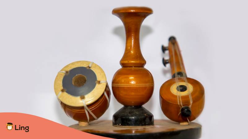 Veena Instrument
