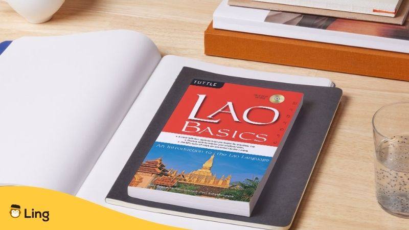 Livre Lao Basics