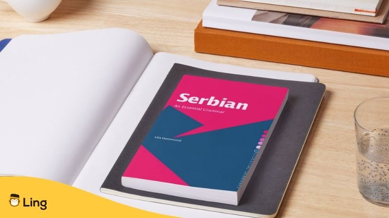 Livre Serbian An Essential Grammar